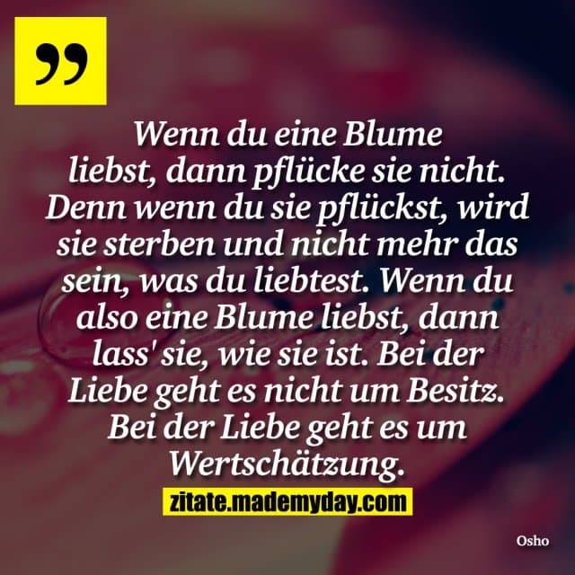 Wenn du eine Blume liebst, dann pflücke sie nicht. Denn wenn du sie pflückst, wird sie sterben und nicht mehr das sein, was du liebtest. Wenn dualso eine Blume liebst, dann lass' sie, wie sie ist. Bei der Liebe geht es nicht um Besitz. Bei der Liebe geht es um Wertschätzung. - Inspiration, Zitate & Sprüche | MadeMyDay | Jetzt entdecken & teilen Wenn du eine Blume liebst, dann pflücke sie nicht. Denn wenn du sie pflückst, wird sie sterben und nicht mehr das sein, was du liebtest. Wenn dualso eine Blume liebst, dann lass' sie, wie sie ist. Bei der Liebe geht es nicht um Besitz. Bei der Liebe geht es um Wertschätzung. - Inspirierendes Zitat mit Bild