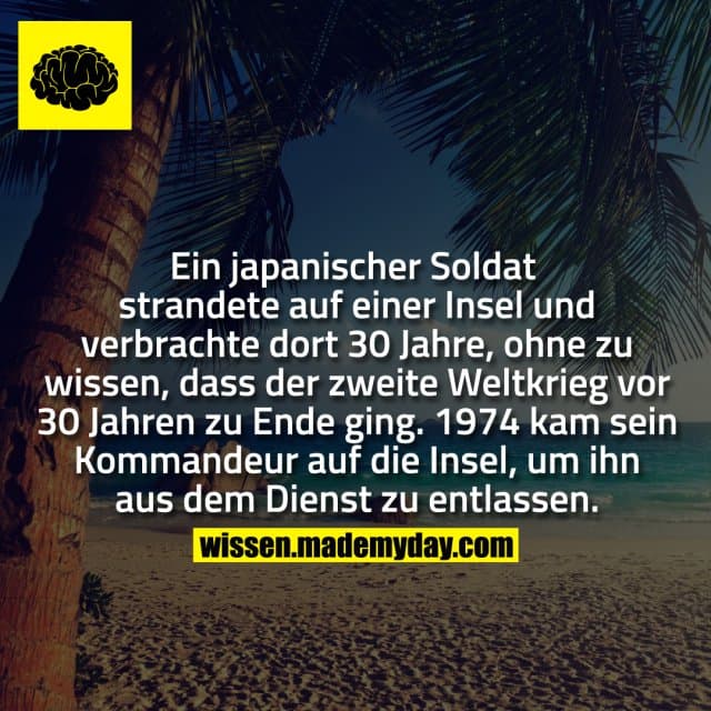Ein japanischer Soldat strandete auf einer Insel und verbrachte dort 30 Jahre, ohne zu wissen, dass der zweite Weltkrieg vor 30 Jahren zu Ende ging. 1974 kam sein Kommandeur auf die Insel, um ihn aus dem Dienst zu entlassen. - Inspiration, Zitate & Sprüche | MadeMyDay | Jetzt entdecken & teilen Ein japanischer Soldat strandete auf einer Insel und verbrachte dort 30 Jahre, ohne zu wissen, dass der zweite Weltkrieg vor 30 Jahren zu Ende ging. 1974 kam sein Kommandeur auf die Insel, um ihn aus dem Dienst zu entlassen. - Inspirierendes Zitat mit Bild