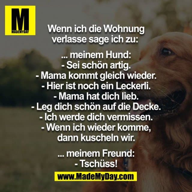 Wenn ich die Wohnung verlasse sage ich zu:
…meinem Hund:
-sei schön artig
-Mama kommt gleich wieder
-hier ist noch ein Leckerli
-Mama hat dich lieb
-leg dich schön auf die Decke
-ich werde dich vermissen
-wenn ich wieder komme, dann kuscheln wir
…meinem Freund:
-Tschüss - Inspiration, Zitate & Sprüche | MadeMyDay | Jetzt entdecken & teilen Wenn ich die Wohnung verlasse sage ich zu:
…meinem Hund:
-sei schön artig
-Mama kommt gleich wieder
-hier ist noch ein Leckerli
-Mama hat dich lieb
-leg dich schön auf die Decke
-ich werde dich vermissen
-wenn ich wieder komme, dann kuscheln wir
…meinem Freund:
-Tschüss - Inspirierendes Zitat mit Bild