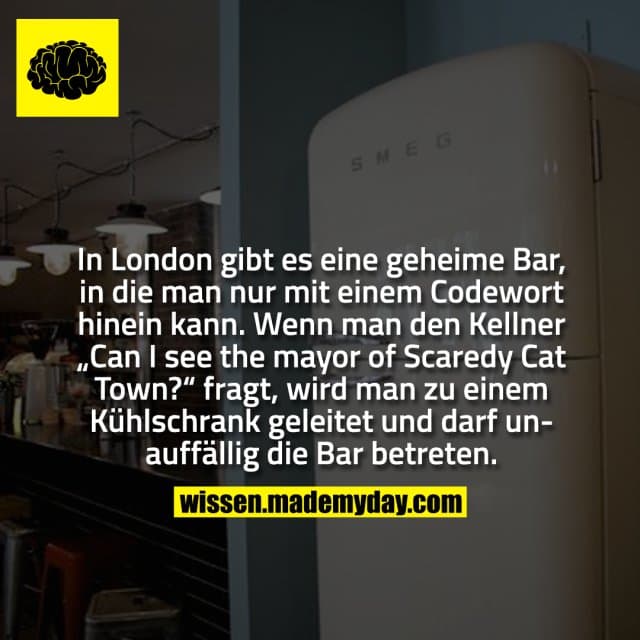 In London gibt es eine geheime Bar, in die man nur mit einem Codewort hinein kann. Wenn man den Kellner „Can I see the mayor of Scaredy Cat Town?“ fragt, wird man zu einem Kühlschrank geleitet und darf unauffällig die Bar betreten. - Inspiration, Zitate & Sprüche | MadeMyDay | Jetzt entdecken & teilen In London gibt es eine geheime Bar, in die man nur mit einem Codewort hinein kann. Wenn man den Kellner „Can I see the mayor of Scaredy Cat Town?“ fragt, wird man zu einem Kühlschrank geleitet und darf unauffällig die Bar betreten. - Inspirierendes Zitat mit Bild