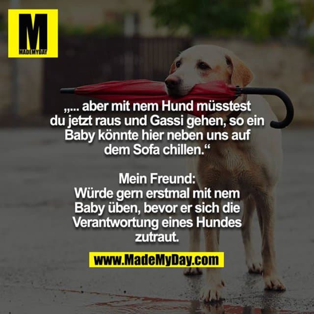 „... aber mit nem Hund müsstest du jetzt raus und Gassi gehen, so ein Baby könnte hier neben uns auf dem Sofa chillen.“
Mein Freund: Würde gern erstmal mit nem Baby üben, bevor er sich die Verantwortung eines Hundes zutraut. - Inspiration, Zitate & Sprüche | MadeMyDay | Jetzt entdecken & teilen „... aber mit nem Hund müsstest du jetzt raus und Gassi gehen, so ein Baby könnte hier neben uns auf dem Sofa chillen.“
Mein Freund: Würde gern erstmal mit nem Baby üben, bevor er sich die Verantwortung eines Hundes zutraut. - Inspirierendes Zitat mit Bild