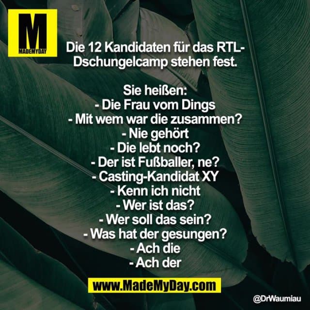 Die 12 Kandidaten für das RTL-Dschungelcamp stehen fest.
Sie heißen:
- Die Frau vom Dings
- Mit wem war die zusammen?
- Nie gehört
- Die lebt noch?
- Der ist Fußballer, ne?
- Casting-Kandidat XY
- Kenn ich nicht
- Wer ist das?
- Wer soll das sein?
- Was hat der gesungen?
- Ach die
- Ach der - Inspiration, Zitate & Sprüche | MadeMyDay | Jetzt entdecken & teilen Die 12 Kandidaten für das RTL-Dschungelcamp stehen fest.
Sie heißen:
- Die Frau vom Dings
- Mit wem war die zusammen?
- Nie gehört
- Die lebt noch?
- Der ist Fußballer, ne?
- Casting-Kandidat XY
- Kenn ich nicht
- Wer ist das?
- Wer soll das sein?
- Was hat der gesungen?
- Ach die
- Ach der - Inspirierendes Zitat mit Bild
