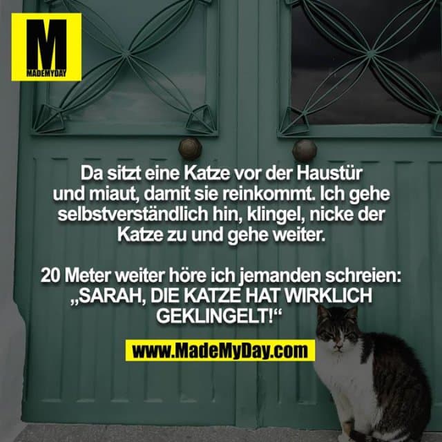 Da sitzt eine Katze vor der Haustür und miaut, damit sie reinkommt. Ich gehe selbstverständlich hin, klingel, nicke der
Katze zu und gehe weiter.
20 Meter weiter höre ich jemanden schreien: „SARAH, DIE KATZE HAT WIRKLICH GEKLINGELT!“ - Inspiration, Zitate & Sprüche | MadeMyDay | Jetzt entdecken & teilen Da sitzt eine Katze vor der Haustür und miaut, damit sie reinkommt. Ich gehe selbstverständlich hin, klingel, nicke der
Katze zu und gehe weiter.
20 Meter weiter höre ich jemanden schreien: „SARAH, DIE KATZE HAT WIRKLICH GEKLINGELT!“ - Inspirierendes Zitat mit Bild