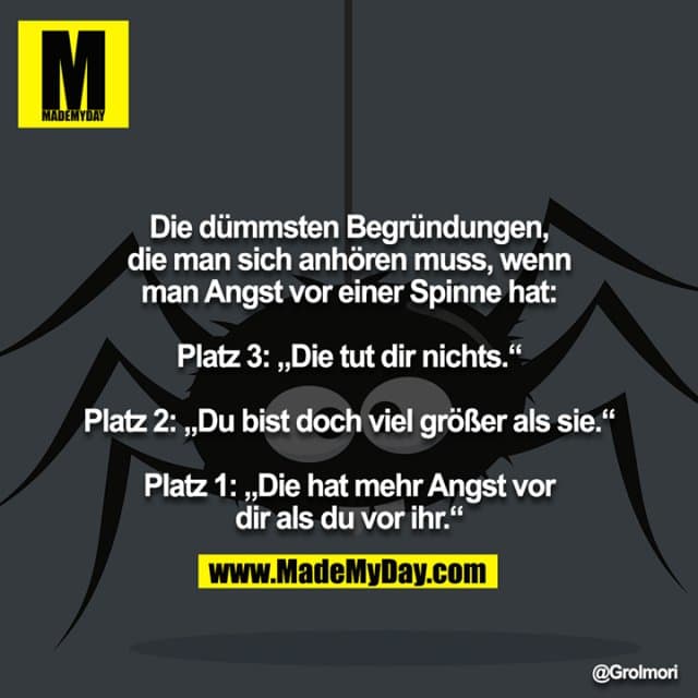 Die dümmsten Begründungen, die man sich anhören muss, wenn man Angst vor einer Spinne hat:
Platz 3: „Die tut dir nichts.“
Platz 2: „Du bist doch viel größer als sie.“
Platz 1: „Die hat mehr Angst vor dir als du vor ihr.“ - Inspiration, Zitate & Sprüche | MadeMyDay | Jetzt entdecken & teilen Die dümmsten Begründungen, die man sich anhören muss, wenn man Angst vor einer Spinne hat:
Platz 3: „Die tut dir nichts.“
Platz 2: „Du bist doch viel größer als sie.“
Platz 1: „Die hat mehr Angst vor dir als du vor ihr.“ - Inspirierendes Zitat mit Bild