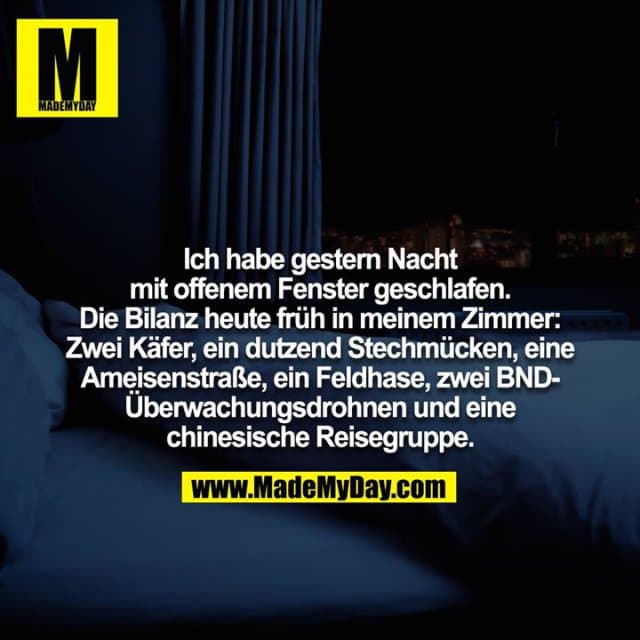 Ich habe gestern Nacht mit offenem Fenster geschlafen. Die Bilanz heute früh in meinem Zimmer: Zwei Käfer, ein dutzend Stechmücken, eine Ameisenstraße, ein Feldhase, zwei BND-Überwachungsdrohnen und eine chinesische Reisegruppe. - Inspiration, Zitate & Sprüche | MadeMyDay | Jetzt entdecken & teilen Ich habe gestern Nacht mit offenem Fenster geschlafen. Die Bilanz heute früh in meinem Zimmer: Zwei Käfer, ein dutzend Stechmücken, eine Ameisenstraße, ein Feldhase, zwei BND-Überwachungsdrohnen und eine chinesische Reisegruppe. - Inspirierendes Zitat mit Bild