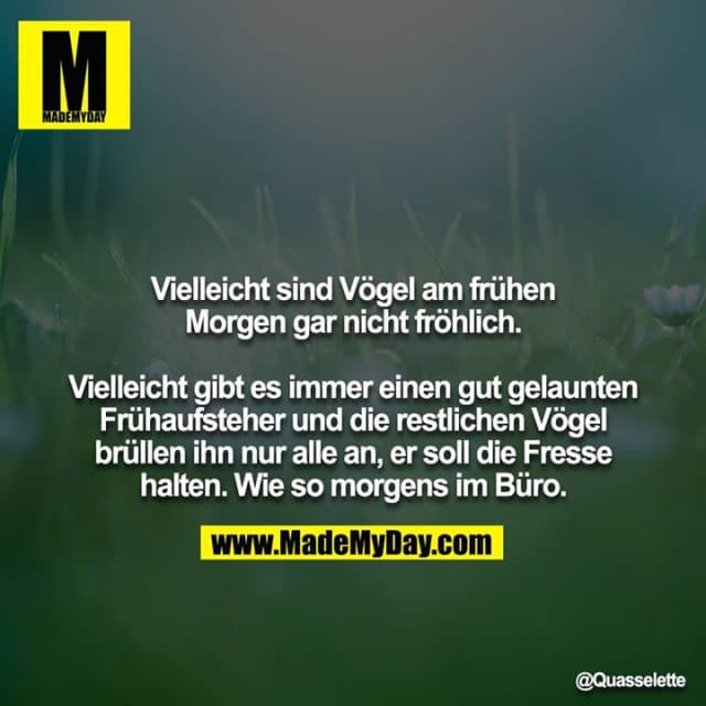 Vielleicht sind Vögel am frühen Morgen gar nicht fröhlich.
Vielleicht gibt es immer einen gut gelaunten Frühaufsteher und die restlichen Vögel brüllen ihn nur alle an, er soll die Fresse halten. Wie so morgens im Büro. - Inspiration, Zitate & Sprüche | MadeMyDay | Jetzt entdecken & teilen Vielleicht sind Vögel am frühen Morgen gar nicht fröhlich.
Vielleicht gibt es immer einen gut gelaunten Frühaufsteher und die restlichen Vögel brüllen ihn nur alle an, er soll die Fresse halten. Wie so morgens im Büro. - Inspirierendes Zitat mit Bild