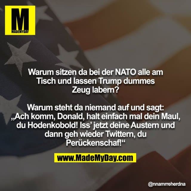 Warum sitzen da bei der NATO alle am Tisch und lassen Trump dummes Zeug labern?
Warum steht da niemand auf und sagt: „Ach komm, Donald, halt einfach mal dein Maul, du Hodenkobold! Iss’ jetzt deine Austern und dann geh wieder Twittern, du Perückenschaf!“ - Inspiration, Zitate & Sprüche | MadeMyDay | Jetzt entdecken & teilen Warum sitzen da bei der NATO alle am Tisch und lassen Trump dummes Zeug labern?
Warum steht da niemand auf und sagt: „Ach komm, Donald, halt einfach mal dein Maul, du Hodenkobold! Iss’ jetzt deine Austern und dann geh wieder Twittern, du Perückenschaf!“ - Inspirierendes Zitat mit Bild