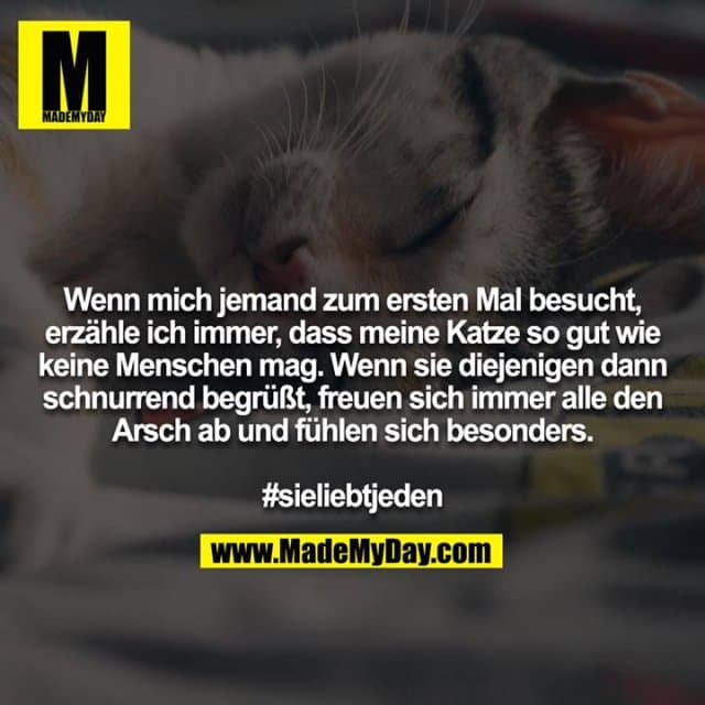 Wenn mich jemand zum ersten Mal besucht, erzähle ich immer, dass meine Katze so gut wie keine Menschen mag. Wenn sie diejenigen dann schnurrend begrüßt, freuen sich immer alle den Arsch ab und fühlen sich besonders.
#sieliebtjeden - Inspiration, Zitate & Sprüche | MadeMyDay | Jetzt entdecken & teilen Wenn mich jemand zum ersten Mal besucht, erzähle ich immer, dass meine Katze so gut wie keine Menschen mag. Wenn sie diejenigen dann schnurrend begrüßt, freuen sich immer alle den Arsch ab und fühlen sich besonders.
#sieliebtjeden - Inspirierendes Zitat mit Bild