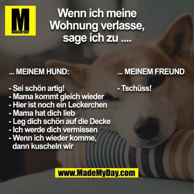 Wenn ich meine Wohnung verlasse, sage ich zu ....
... meinem Hund:
- Sei schön artig!
- Mama kommt gleich wieder
- Hier ist noch ein Leckerchen
- Mama hat dich lieb
- Leg dich schön auf die Decke
- Ich werde dich vermissen
- Wenn ich wieder komme, dann kuscheln wir
... meinem Freund:
- Tschüss! - Inspiration, Zitate & Sprüche | MadeMyDay | Jetzt entdecken & teilen Wenn ich meine Wohnung verlasse, sage ich zu ....
... meinem Hund:
- Sei schön artig!
- Mama kommt gleich wieder
- Hier ist noch ein Leckerchen
- Mama hat dich lieb
- Leg dich schön auf die Decke
- Ich werde dich vermissen
- Wenn ich wieder komme, dann kuscheln wir
... meinem Freund:
- Tschüss! - Inspirierendes Zitat mit Bild