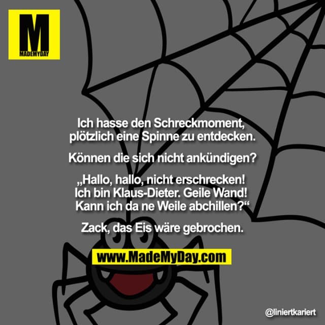 Ich hasse den Schreckmoment, plötzlich eine Spinne zu entdecken.
Können die sich nicht ankündigen?
„Hallo, hallo, nicht erschrecken! Ich bin Klaus-Dieter. Geile Wand! Kann ich da ne Weile abchillen?“
Zack, das Eis wäre gebrochen. - Inspiration, Zitate & Sprüche | MadeMyDay | Jetzt entdecken & teilen Ich hasse den Schreckmoment, plötzlich eine Spinne zu entdecken.
Können die sich nicht ankündigen?
„Hallo, hallo, nicht erschrecken! Ich bin Klaus-Dieter. Geile Wand! Kann ich da ne Weile abchillen?“
Zack, das Eis wäre gebrochen. - Inspirierendes Zitat mit Bild