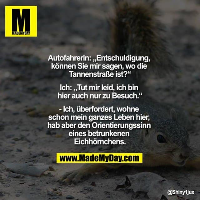 Autofahrerin: „Entschuldigung, können Sie mir sagen, wo die Tannenstraße ist?“
Ich: „Tut mir leid, ich bin hier auch nur zu Besuch.“
- Ich, überfordert, wohne schon mein ganzes Leben hier, hab aber den Orientierungssinn eines betrunkenen Eichhörnchens. - Inspiration, Zitate & Sprüche | MadeMyDay | Jetzt entdecken & teilen Autofahrerin: „Entschuldigung, können Sie mir sagen, wo die Tannenstraße ist?“
Ich: „Tut mir leid, ich bin hier auch nur zu Besuch.“
- Ich, überfordert, wohne schon mein ganzes Leben hier, hab aber den Orientierungssinn eines betrunkenen Eichhörnchens. - Inspirierendes Zitat mit Bild
