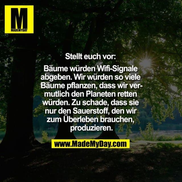 Stellt euch vor: Bäume würden Wifi-Signale abgeben, wir würden so viele Bäume pflanzen, dass wir vermutlich den Planeten retten würden. Zu schade, dass sie nur den Sauerstoff, den wir zum Überleben brauchen, produzieren. - Inspiration, Zitate & Sprüche | MadeMyDay | Jetzt entdecken & teilen Stellt euch vor: Bäume würden Wifi-Signale abgeben, wir würden so viele Bäume pflanzen, dass wir vermutlich den Planeten retten würden. Zu schade, dass sie nur den Sauerstoff, den wir zum Überleben brauchen, produzieren. - Inspirierendes Zitat mit Bild