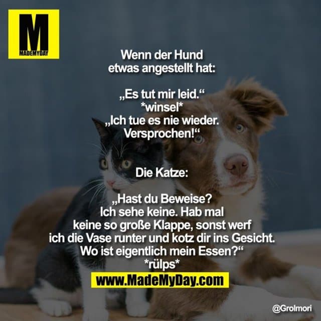 Wenn der Hund etwas angestellt hat:
„Es tut mir leid.“ *winsel* „Ich tue es nie wieder. Versprochen!“
Die Katze:
„Hast du Beweise? Ich sehe keine. Hab mal keine so große Klappe, sonst werf ich die Vase runter und kotz dir ins Gesicht. Wo ist eigentlich mein Essen?“
*rülps* - Inspiration, Zitate & Sprüche | MadeMyDay | Jetzt entdecken & teilen Wenn der Hund etwas angestellt hat:
„Es tut mir leid.“ *winsel* „Ich tue es nie wieder. Versprochen!“
Die Katze:
„Hast du Beweise? Ich sehe keine. Hab mal keine so große Klappe, sonst werf ich die Vase runter und kotz dir ins Gesicht. Wo ist eigentlich mein Essen?“
*rülps* - Inspirierendes Zitat mit Bild