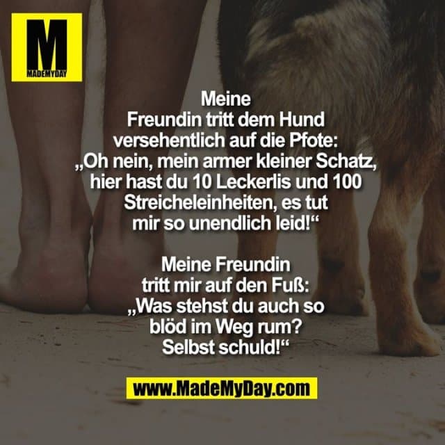 Meine
Freundin tritt dem Hund
versehentlich auf die Pfote:
„Oh nein, mein armer kleiner Schatz,
hier hast du 10 Leckerlis und 100
Streicheleinheiten, es tut
mir so unendlich leid!“
Meine Freundin
tritt mir auf den Fuß:
„Was stehst du auch so
blöd im Weg rum?
Selbst schuld!“ - Inspiration, Zitate & Sprüche | MadeMyDay | Jetzt entdecken & teilen Meine
Freundin tritt dem Hund
versehentlich auf die Pfote:
„Oh nein, mein armer kleiner Schatz,
hier hast du 10 Leckerlis und 100
Streicheleinheiten, es tut
mir so unendlich leid!“
Meine Freundin
tritt mir auf den Fuß:
„Was stehst du auch so
blöd im Weg rum?
Selbst schuld!“ - Inspirierendes Zitat mit Bild