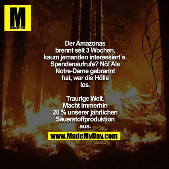 Der Amazonas
brennt seit 3 Wochen,
kaum jemanden interessiert´s.
Spendenaufrufe? Nö! Als
Notre-Dame gebrannt
hat, war die Hölle
los.
Traurige Welt.
Macht immerhin
20 % unserer jährlichen
Sauerstoffproduktion
aus. - Inspiration, Zitate & Sprüche | MadeMyDay | Jetzt entdecken & teilen Der Amazonas
brennt seit 3 Wochen,
kaum jemanden interessiert´s.
Spendenaufrufe? Nö! Als
Notre-Dame gebrannt
hat, war die Hölle
los.
Traurige Welt.
Macht immerhin
20 % unserer jährlichen
Sauerstoffproduktion
aus. - Inspirierendes Zitat mit Bild
