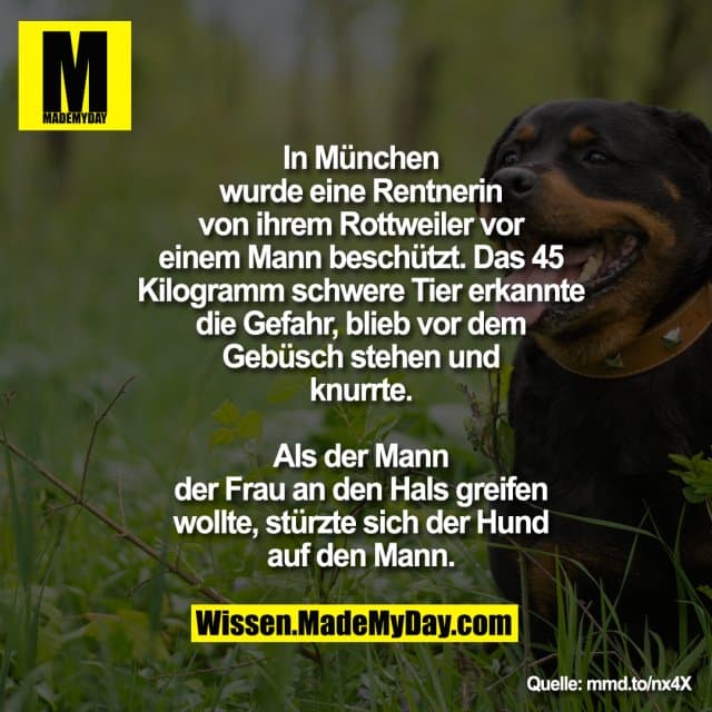 In München wurde eine Rentnerin von
ihrem Rottweiler vor einem Mann
beschützt. Das 45 Kilogramm schwere
Tier erkannte die Gefahr, blieb vor dem
Gebüsch stehen und knurrte. Als der
Mann der Frau an den Hals greifen
wollte, stürzte sich der Hund auf den
Mann. - Inspiration, Zitate & Sprüche | MadeMyDay | Jetzt entdecken & teilen In München wurde eine Rentnerin von
ihrem Rottweiler vor einem Mann
beschützt. Das 45 Kilogramm schwere
Tier erkannte die Gefahr, blieb vor dem
Gebüsch stehen und knurrte. Als der
Mann der Frau an den Hals greifen
wollte, stürzte sich der Hund auf den
Mann. - Inspirierendes Zitat mit Bild