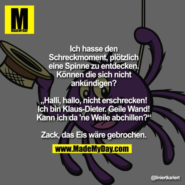 Ich hasse den Schreckmoment,
plötzlich eine Spinne zu
entdecken. Können die sich
nicht ankündigen?
„Halli, hallo, nicht erschrecken!
Ich bin Klaus-Dieter.
Geile Wand! Kann ich da 'ne
Weile abchillen?“
Zack, das Eis wäre gebrochen. - Inspiration, Zitate & Sprüche | MadeMyDay | Jetzt entdecken & teilen Ich hasse den Schreckmoment,
plötzlich eine Spinne zu
entdecken. Können die sich
nicht ankündigen?
„Halli, hallo, nicht erschrecken!
Ich bin Klaus-Dieter.
Geile Wand! Kann ich da 'ne
Weile abchillen?“
Zack, das Eis wäre gebrochen. - Inspirierendes Zitat mit Bild