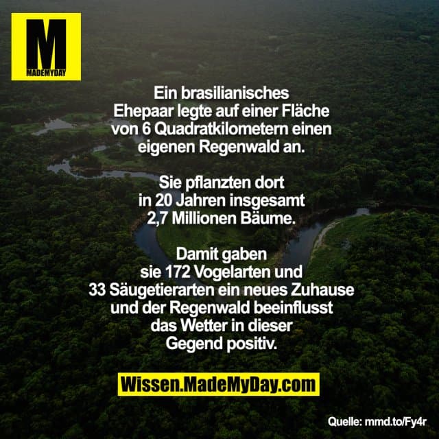 Ein brasilianisches Ehepaar legte auf einer Fläche von 6 Quadratkilometern einen eigenen Regenwald an. Sie pflanzten dort in 20 Jahren insgesamt 2,7 Millionen Bäume. Damit gaben sie 172 Vogelarten und 33 Säugetierarten ein neues Zuhause und der Regenwald beeinflusst das Wetter in dieser Gegend positiv. - Inspiration, Zitate & Sprüche | MadeMyDay | Jetzt entdecken & teilen Ein brasilianisches Ehepaar legte auf einer Fläche von 6 Quadratkilometern einen eigenen Regenwald an. Sie pflanzten dort in 20 Jahren insgesamt 2,7 Millionen Bäume. Damit gaben sie 172 Vogelarten und 33 Säugetierarten ein neues Zuhause und der Regenwald beeinflusst das Wetter in dieser Gegend positiv. - Inspirierendes Zitat mit Bild
