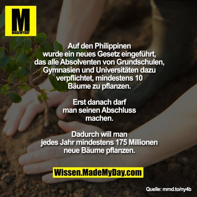 Auf den Philippinen wurde ein neues Gesetz
eingeführt, das alle Absolventen von
Grundschulen, Gymnasien und
Universitäten dazu verpflichtet, mindestens
10 Bäume zu pflanzen. Erst danach darf
man seinen Abschluss machen. Dadurch
will man jedes Jahr mindestens 175
Millionen neue Bäume pflanzen. - Inspiration, Zitate & Sprüche | MadeMyDay | Jetzt entdecken & teilen Auf den Philippinen wurde ein neues Gesetz
eingeführt, das alle Absolventen von
Grundschulen, Gymnasien und
Universitäten dazu verpflichtet, mindestens
10 Bäume zu pflanzen. Erst danach darf
man seinen Abschluss machen. Dadurch
will man jedes Jahr mindestens 175
Millionen neue Bäume pflanzen. - Inspirierendes Zitat mit Bild