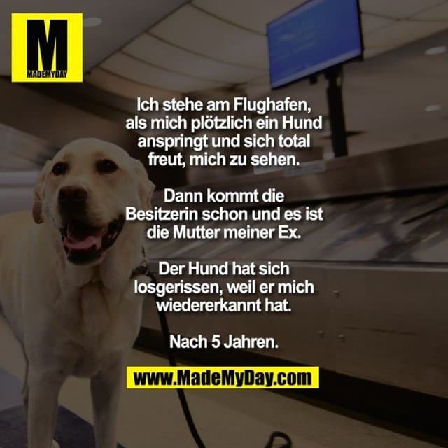 Ich stehe am Flughafen, als mich plötzlich ein Hund anspringt und sich total freut, mich zu sehen.
Dann kommt die Besitzerin schon und es ist die Mutter meiner Ex.
Der Hund hat sich losgerissen, weil er mich wiedererkannt hat. Nach 5 Jahren. - Inspiration, Zitate & Sprüche | MadeMyDay | Jetzt entdecken & teilen Ich stehe am Flughafen, als mich plötzlich ein Hund anspringt und sich total freut, mich zu sehen.
Dann kommt die Besitzerin schon und es ist die Mutter meiner Ex.
Der Hund hat sich losgerissen, weil er mich wiedererkannt hat. Nach 5 Jahren. - Inspirierendes Zitat mit Bild