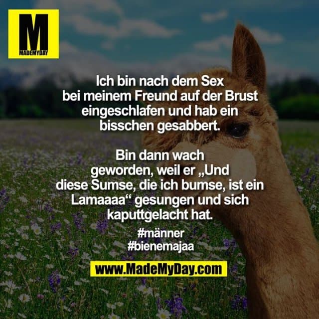 Ich bin nach dem Sex
bei meinem Freund auf der Brust
eingeschlafen und hab ein
bisschen gesabbert.
Bin dann wach
geworden, weil er „Und
diese Sumse, die ich bumse, ist ein
Lamaaaa“ gesungen und sich
kaputtgelacht hat.
#männer
#bienemajaa - Inspiration, Zitate & Sprüche | MadeMyDay | Jetzt entdecken & teilen Ich bin nach dem Sex
bei meinem Freund auf der Brust
eingeschlafen und hab ein
bisschen gesabbert.
Bin dann wach
geworden, weil er „Und
diese Sumse, die ich bumse, ist ein
Lamaaaa“ gesungen und sich
kaputtgelacht hat.
#männer
#bienemajaa - Inspirierendes Zitat mit Bild