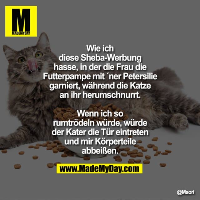 Wie ich diese Sheba-Werbung hasse, in der die Frau die Futterpampe mit ´ner Petersilie garniert, während die Katze an ihr herumschnurrt. Wenn ich so rumtrödeln würde, würde der Kater die Tür eintreten und mir Körperteile abbeißen. - Inspiration, Zitate & Sprüche | MadeMyDay | Jetzt entdecken & teilen Wie ich diese Sheba-Werbung hasse, in der die Frau die Futterpampe mit ´ner Petersilie garniert, während die Katze an ihr herumschnurrt. Wenn ich so rumtrödeln würde, würde der Kater die Tür eintreten und mir Körperteile abbeißen. - Inspirierendes Zitat mit Bild
