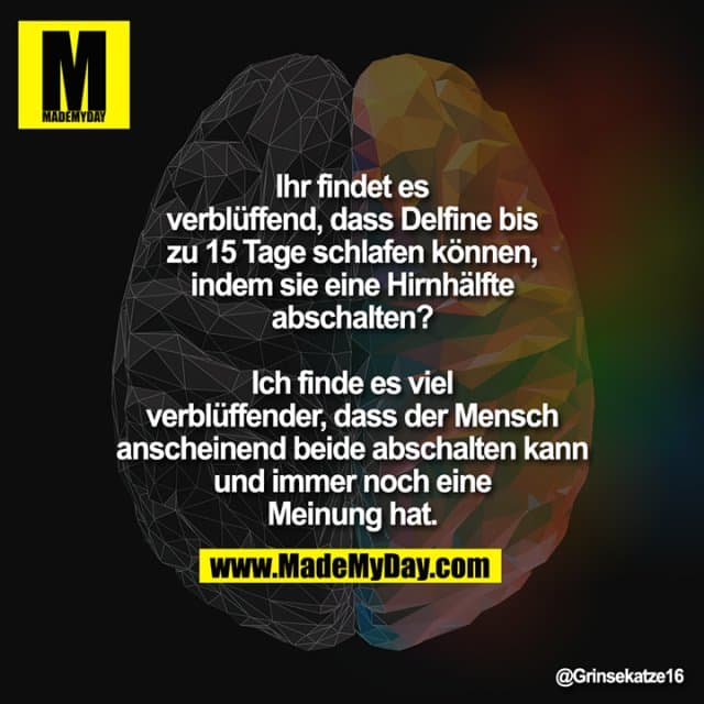 Ihr findet es verblüffend, dass Delfine bis zu 15 Tage schlafen können, indem sie eine Hirnhälfte abschalten?
Ich finde es viel verblüffender, dass der Mensch anscheinend beide abschalten kann und immer noch eine Meinung hat. - Inspiration, Zitate & Sprüche | MadeMyDay | Jetzt entdecken & teilen Ihr findet es verblüffend, dass Delfine bis zu 15 Tage schlafen können, indem sie eine Hirnhälfte abschalten?
Ich finde es viel verblüffender, dass der Mensch anscheinend beide abschalten kann und immer noch eine Meinung hat. - Inspirierendes Zitat mit Bild