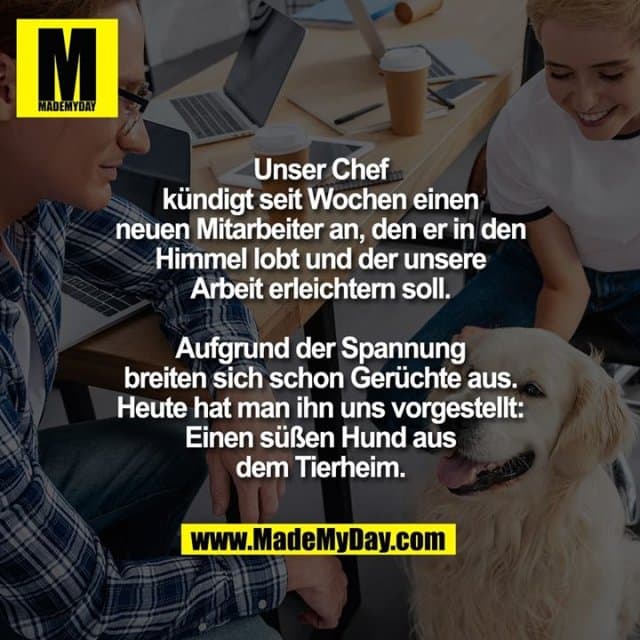 Unser Chef kündigt seit Wochen einen neuen Mitarbeiter an, den er in den Himmel lobt und der unsere Arbeit erleichtern soll.
Aufgrund der Spannung breiten sich schon Gerüchte aus.
Heute hat man ihn uns vorgestellt: Einen süßen Hund aus dem Tierheim. - Inspiration, Zitate & Sprüche | MadeMyDay | Jetzt entdecken & teilen Unser Chef kündigt seit Wochen einen neuen Mitarbeiter an, den er in den Himmel lobt und der unsere Arbeit erleichtern soll.
Aufgrund der Spannung breiten sich schon Gerüchte aus.
Heute hat man ihn uns vorgestellt: Einen süßen Hund aus dem Tierheim. - Inspirierendes Zitat mit Bild