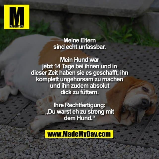 Meine Eltern sind echt unfassbar.
Mein Hund war jetzt 14 Tage bei ihnen und in dieser Zeit haben sie es geschafft, ihn komplett ungehorsam zu machen und ihn zudem absolut dick zu füttern.
Ihre Rechtfertigung:
„Du warst eh zu streng mit dem Hund.“ - Inspiration, Zitate & Sprüche | MadeMyDay | Jetzt entdecken & teilen Meine Eltern sind echt unfassbar.
Mein Hund war jetzt 14 Tage bei ihnen und in dieser Zeit haben sie es geschafft, ihn komplett ungehorsam zu machen und ihn zudem absolut dick zu füttern.
Ihre Rechtfertigung:
„Du warst eh zu streng mit dem Hund.“ - Inspirierendes Zitat mit Bild