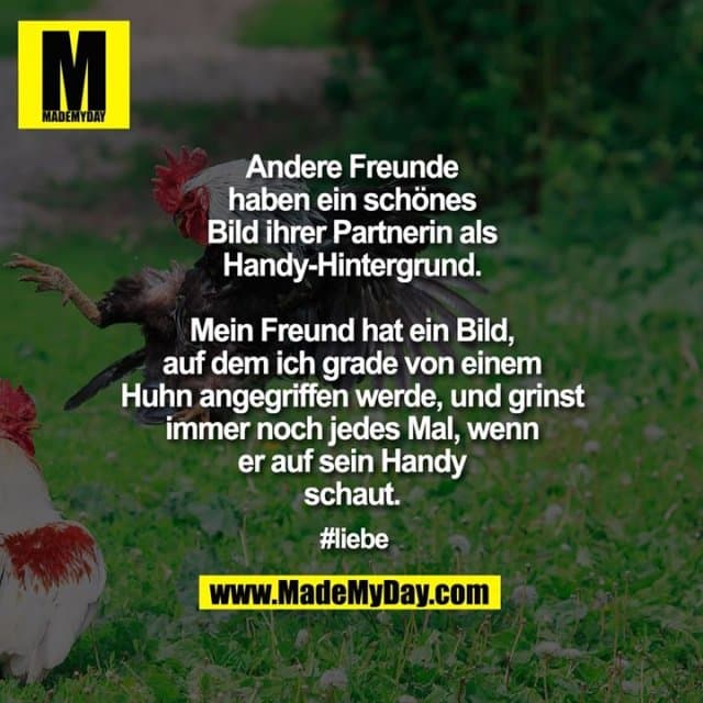 Andere Freunde haben ein schönes Bild ihrer Partnerin als Handy-Hintergrund.
Mein Freund hat ein Bild, auf dem ich grade von einem Huhn angegriffen werde, und grinst immer noch jedes Mal, wenn er auf sein Handy schaut.
#liebe - Inspiration, Zitate & Sprüche | MadeMyDay | Jetzt entdecken & teilen Andere Freunde haben ein schönes Bild ihrer Partnerin als Handy-Hintergrund.
Mein Freund hat ein Bild, auf dem ich grade von einem Huhn angegriffen werde, und grinst immer noch jedes Mal, wenn er auf sein Handy schaut.
#liebe - Inspirierendes Zitat mit Bild
