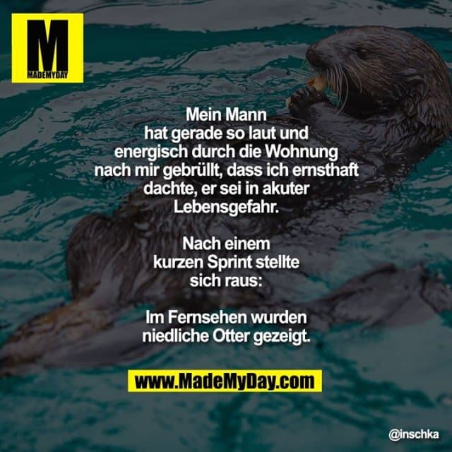 Mein Mann hat gerade so laut und energisch durch die Wohnung nach mir gebrüllt, dass ich ernsthaft dachte, er sei in akuter Lebensgefahr.
Nach einem kurzen Sprint stellte sich raus: Im Fernsehen wurden niedliche Otter gezeigt. - Inspiration, Zitate & Sprüche | MadeMyDay | Jetzt entdecken & teilen Mein Mann hat gerade so laut und energisch durch die Wohnung nach mir gebrüllt, dass ich ernsthaft dachte, er sei in akuter Lebensgefahr.
Nach einem kurzen Sprint stellte sich raus: Im Fernsehen wurden niedliche Otter gezeigt. - Inspirierendes Zitat mit Bild