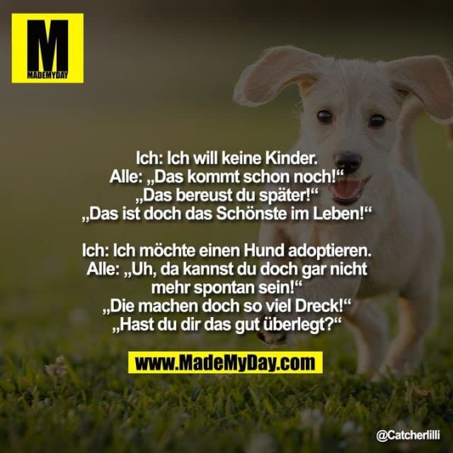 Ich: Ich will keine Kinder.
Alle: „Das kommt schon noch!“
„Das bereust du später!“
„Das ist doch das Schönste im Leben!“
Ich: Ich möchte einen Hund adoptieren.
Alle: „Uh, da kannst du doch gar nicht
mehr spontan sein!“
„Die machen doch so viel Dreck!“
„Hast du dir das gut überlegt?“ - Inspiration, Zitate & Sprüche | MadeMyDay | Jetzt entdecken & teilen Ich: Ich will keine Kinder.
Alle: „Das kommt schon noch!“
„Das bereust du später!“
„Das ist doch das Schönste im Leben!“
Ich: Ich möchte einen Hund adoptieren.
Alle: „Uh, da kannst du doch gar nicht
mehr spontan sein!“
„Die machen doch so viel Dreck!“
„Hast du dir das gut überlegt?“ - Inspirierendes Zitat mit Bild