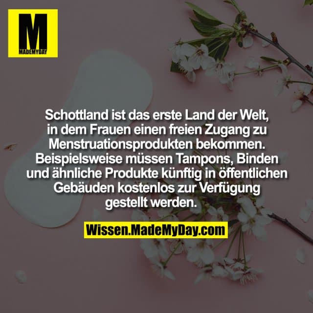 Schottland ist das erste Land der Welt, in dem Frauen einen freien Zugang zu Menstruationsprodukten bekommen. Beispielsweise müssen Tampons, Binden und ähnliche Produkte künftig in öffentlichen Gebäuden kostenlos zur Verfügung gestellt werden. - Inspiration, Zitate & Sprüche | MadeMyDay | Jetzt entdecken & teilen Schottland ist das erste Land der Welt, in dem Frauen einen freien Zugang zu Menstruationsprodukten bekommen. Beispielsweise müssen Tampons, Binden und ähnliche Produkte künftig in öffentlichen Gebäuden kostenlos zur Verfügung gestellt werden. - Inspirierendes Zitat mit Bild