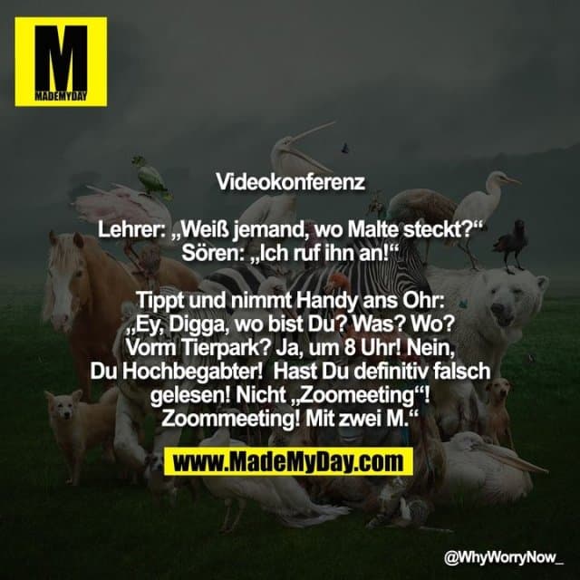Videokonferenz
Lehrer: „Weiß jemand, wo Malte steckt?“
Sören: „Ich ruf ihn an!“
Tippt und nimmt Handy ans Ohr:
„Ey, Digga, wo bist Du? Was? Wo?
Vorm Tierpark? Ja, um 8 Uhr! Nein,
Du Hochbegabter! Hast Du definitiv falsch
gelesen! Nicht „Zoomeeting“!
Zoommeeting! Mit zwei M.“ - Inspiration, Zitate & Sprüche | MadeMyDay | Jetzt entdecken & teilen Videokonferenz
Lehrer: „Weiß jemand, wo Malte steckt?“
Sören: „Ich ruf ihn an!“
Tippt und nimmt Handy ans Ohr:
„Ey, Digga, wo bist Du? Was? Wo?
Vorm Tierpark? Ja, um 8 Uhr! Nein,
Du Hochbegabter! Hast Du definitiv falsch
gelesen! Nicht „Zoomeeting“!
Zoommeeting! Mit zwei M.“ - Inspirierendes Zitat mit Bild