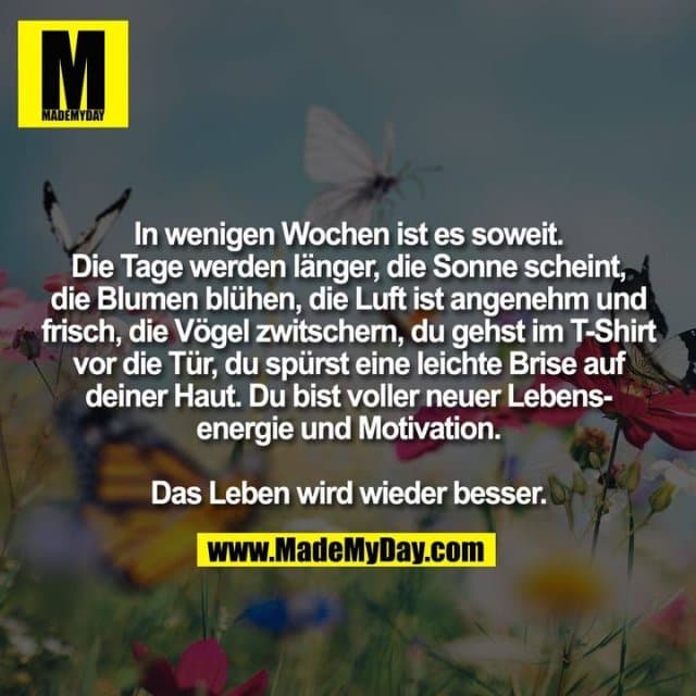 In wenigen Wochen ist es soweit.
Die Tage werden länger, die Sonne scheint,
die Blumen blühen, die Luft ist angenehm und
frisch, die Vögel zwitschern, du gehst im T-Shirt
vor die Tür, du spürst eine leichte Brise auf
deiner Haut. Du bist voller neuer Lebens-
energie und Motivation.
Das Leben wird wieder besser. - Inspiration, Zitate & Sprüche | MadeMyDay | Jetzt entdecken & teilen In wenigen Wochen ist es soweit.
Die Tage werden länger, die Sonne scheint,
die Blumen blühen, die Luft ist angenehm und
frisch, die Vögel zwitschern, du gehst im T-Shirt
vor die Tür, du spürst eine leichte Brise auf
deiner Haut. Du bist voller neuer Lebens-
energie und Motivation.
Das Leben wird wieder besser. - Inspirierendes Zitat mit Bild