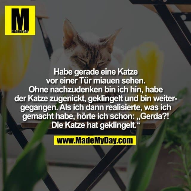 Habe gerade eine Katze
vor einer Tür miauen sehen.
Ohne nachzudenken bin ich hin, habe
der Katze zugenickt, geklingelt und bin weiter-
gegangen. Als ich dann realisierte, was ich
gemacht habe, hörte ich schon: „Gerda?!
Die Katze hat geklingelt.“ - Inspiration, Zitate & Sprüche | MadeMyDay | Jetzt entdecken & teilen Habe gerade eine Katze
vor einer Tür miauen sehen.
Ohne nachzudenken bin ich hin, habe
der Katze zugenickt, geklingelt und bin weiter-
gegangen. Als ich dann realisierte, was ich
gemacht habe, hörte ich schon: „Gerda?!
Die Katze hat geklingelt.“ - Inspirierendes Zitat mit Bild