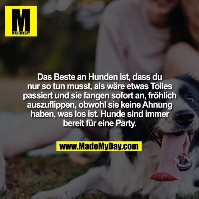 Das Beste an Hunden ist, dass du
nur so tun musst, als wäre etwas Tolles
passiert und sie fangen sofort an, fröhlich
auszuflippen, obwohl sie keine Ahnung
haben, was los ist. Hunde sind immer
bereit für eine Party. - Inspiration, Zitate & Sprüche | MadeMyDay | Jetzt entdecken & teilen Das Beste an Hunden ist, dass du
nur so tun musst, als wäre etwas Tolles
passiert und sie fangen sofort an, fröhlich
auszuflippen, obwohl sie keine Ahnung
haben, was los ist. Hunde sind immer
bereit für eine Party. - Inspirierendes Zitat mit Bild