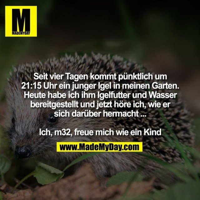 Seit vier Tagen kommt pünktlich um
21:15 Uhr ein junger Igel in meinen Garten.
Heute habe ich ihm Igelfutter und Wasser
bereitgestellt und jetzt höre ich, wie er
sich darüber hermacht ...
Ich, m32, freue mich wie ein Kind - Inspiration, Zitate & Sprüche | MadeMyDay | Jetzt entdecken & teilen Seit vier Tagen kommt pünktlich um
21:15 Uhr ein junger Igel in meinen Garten.
Heute habe ich ihm Igelfutter und Wasser
bereitgestellt und jetzt höre ich, wie er
sich darüber hermacht ...
Ich, m32, freue mich wie ein Kind - Inspirierendes Zitat mit Bild