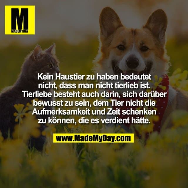 Kein Haustier zu haben bedeutet
nicht, dass man nicht tierlieb ist.
Tierliebe besteht auch darin, sich darüber
bewusst zu sein, dem Tier nicht die
Aufmerksamkeit und Zeit schenken
zu können, die es verdient hätte. - Inspiration, Zitate & Sprüche | MadeMyDay | Jetzt entdecken & teilen Kein Haustier zu haben bedeutet
nicht, dass man nicht tierlieb ist.
Tierliebe besteht auch darin, sich darüber
bewusst zu sein, dem Tier nicht die
Aufmerksamkeit und Zeit schenken
zu können, die es verdient hätte. - Inspirierendes Zitat mit Bild