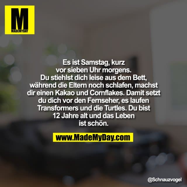 Es ist Samstag, kurz
vor sieben Uhr morgens.
Du stiehlst dich leise aus dem Bett,
während die Eltern noch schlafen, machst
dir einen Kakao und Cornflakes. Damit setzt
du dich vor den Fernseher, es laufen
Transformers und die Turtles. Du bist
12 Jahre alt und das Leben
ist schön. - Inspiration, Zitate & Sprüche | MadeMyDay | Jetzt entdecken & teilen Es ist Samstag, kurz
vor sieben Uhr morgens.
Du stiehlst dich leise aus dem Bett,
während die Eltern noch schlafen, machst
dir einen Kakao und Cornflakes. Damit setzt
du dich vor den Fernseher, es laufen
Transformers und die Turtles. Du bist
12 Jahre alt und das Leben
ist schön. - Inspirierendes Zitat mit Bild