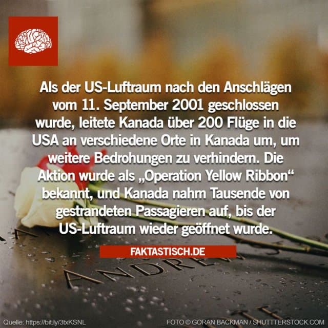 Die „Operation Yellow Ribbon“ wurde von Kanada als Reaktion auf die Anschläge vom 11. September 2001 in den Vereinigten Staaten ins Leben gerufen, um die Umleitung von Flügen ziviler Fluggesellschaften zu ermöglichen 👏 - Inspiration, Zitate & Sprüche | MadeMyDay | Jetzt entdecken & teilen Die „Operation Yellow Ribbon“ wurde von Kanada als Reaktion auf die Anschläge vom 11. September 2001 in den Vereinigten Staaten ins Leben gerufen, um die Umleitung von Flügen ziviler Fluggesellschaften zu ermöglichen 👏 - Inspirierendes Zitat mit Bild