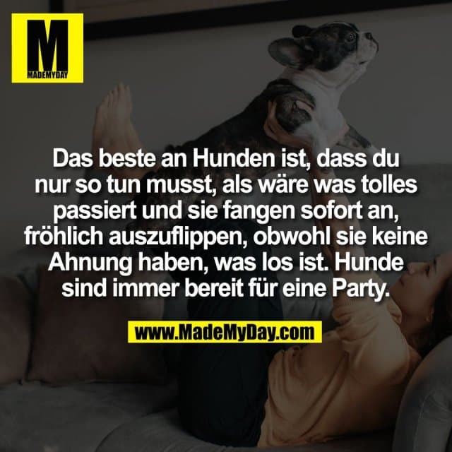 Das beste an Hunden ist, dass du
nur so tun musst, als wäre was tolles
passiert und sie fangen sofort an,
fröhlich auszuflippen, obwohl sie keine
Ahnung haben, was los ist. Hunde
sind immer bereit für eine Party. - Inspiration, Zitate & Sprüche | MadeMyDay | Jetzt entdecken & teilen Das beste an Hunden ist, dass du
nur so tun musst, als wäre was tolles
passiert und sie fangen sofort an,
fröhlich auszuflippen, obwohl sie keine
Ahnung haben, was los ist. Hunde
sind immer bereit für eine Party. - Inspirierendes Zitat mit Bild