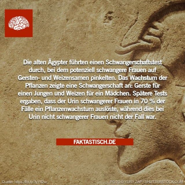 Einigen unveröffentlichten altägyptischen medizinischen Texten in der Papyrus-Carlsberg-Sammlung der Universität Kopenhagen in Dänemark zufolge bestand das Mittel für Schwangerschaftstests aus Getreide, insbesondere Gerste und Weizen 🤰 - Inspiration, Zitate & Sprüche | MadeMyDay | Jetzt entdecken & teilen Einigen unveröffentlichten altägyptischen medizinischen Texten in der Papyrus-Carlsberg-Sammlung der Universität Kopenhagen in Dänemark zufolge bestand das Mittel für Schwangerschaftstests aus Getreide, insbesondere Gerste und Weizen 🤰 - Inspirierendes Zitat mit Bild