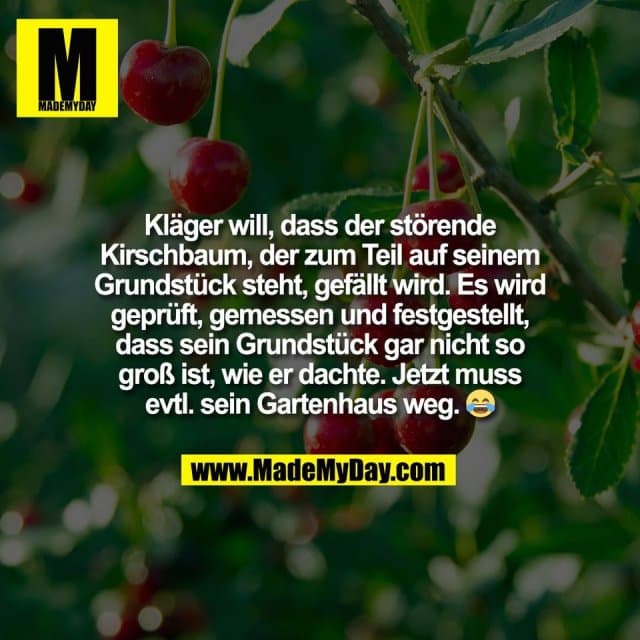 Kläger will, dass der störende
Kirschbaum, der zum Teil auf seinem
Grundstück steht, gefällt wird. Es wird
geprüft, gemessen und festgestellt,
dass sein Grundstück gar nicht so
groß ist, wie er dachte. Jetzt muss
evtl. sein Gartenhaus weg. 😂 - Inspiration, Zitate & Sprüche | MadeMyDay | Jetzt entdecken & teilen Kläger will, dass der störende
Kirschbaum, der zum Teil auf seinem
Grundstück steht, gefällt wird. Es wird
geprüft, gemessen und festgestellt,
dass sein Grundstück gar nicht so
groß ist, wie er dachte. Jetzt muss
evtl. sein Gartenhaus weg. 😂 - Inspirierendes Zitat mit Bild