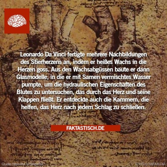 Leonardo Da Vinci führte einst ein Experiment durch, um den Blutfluss durch die Herzklappen zu verstehen, indem er heißes Wachs in eine dieser Klappen goss, aus dem Abguss eine Form aus dünnem Glas herstellte und dann mit Samen vermischtes Wasser durch sie pumpte 🫀 - Inspiration, Zitate & Sprüche | MadeMyDay | Jetzt entdecken & teilen Leonardo Da Vinci führte einst ein Experiment durch, um den Blutfluss durch die Herzklappen zu verstehen, indem er heißes Wachs in eine dieser Klappen goss, aus dem Abguss eine Form aus dünnem Glas herstellte und dann mit Samen vermischtes Wasser durch sie pumpte 🫀 - Inspirierendes Zitat mit Bild