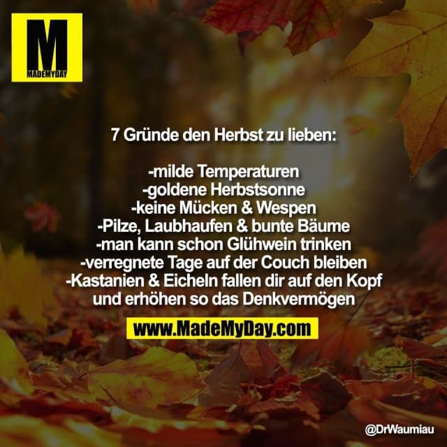 7 Gründe den Herbst zu lieben:
-milde Temperaturen
-goldene Herbstsonne
-keine Mücken & Wespen
-Pilze, Laubhaufen & bunte Bäume
-man kann schon Glühwein trinken
-verregnete Tage auf der Couch bleiben
-Kastanien & Eicheln fallen dir auf den Kopf
und erhöhen so das Denkvermögen" - Inspiration, Zitate & Sprüche | MadeMyDay | Jetzt entdecken & teilen 7 Gründe den Herbst zu lieben:
-milde Temperaturen
-goldene Herbstsonne
-keine Mücken & Wespen
-Pilze, Laubhaufen & bunte Bäume
-man kann schon Glühwein trinken
-verregnete Tage auf der Couch bleiben
-Kastanien & Eicheln fallen dir auf den Kopf
und erhöhen so das Denkvermögen" - Inspirierendes Zitat mit Bild