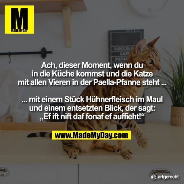 Ach, dieser Moment, wenn du
in die Küche kommst und die Katze
mit allen Vieren in der Paella-Pfanne steht ...
... mit einem Stück Hühnerfleisch im Maul
und einem entsetzten Blick, der sagt:
„Ef ift nift daf fonaf ef auffieht!“ - Inspiration, Zitate & Sprüche | MadeMyDay | Jetzt entdecken & teilen Ach, dieser Moment, wenn du
in die Küche kommst und die Katze
mit allen Vieren in der Paella-Pfanne steht ...
... mit einem Stück Hühnerfleisch im Maul
und einem entsetzten Blick, der sagt:
„Ef ift nift daf fonaf ef auffieht!“ - Inspirierendes Zitat mit Bild