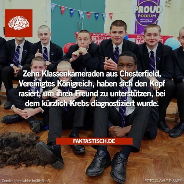 Als sie erfuhren, dass ihr Freund während seiner Chemotherapie die Haare verlieren könnte, beschlossen die gutherzigen Klassenkameraden, ihre Haare abzurasieren und Geld für den „Teenage Cancer Trust“ zu sammeln, um andere zu unterstützen, die einen ähnlichen Kampf durchmachen 👏 - Inspiration, Zitate & Sprüche | MadeMyDay | Jetzt entdecken & teilen Als sie erfuhren, dass ihr Freund während seiner Chemotherapie die Haare verlieren könnte, beschlossen die gutherzigen Klassenkameraden, ihre Haare abzurasieren und Geld für den „Teenage Cancer Trust“ zu sammeln, um andere zu unterstützen, die einen ähnlichen Kampf durchmachen 👏 - Inspirierendes Zitat mit Bild