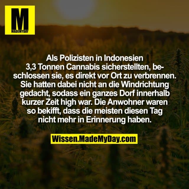 Als Polizisten in Indonesien 3,3 Tonnen Cannabis sicherstellten, beschlossen sie, es direkt vor Ort zu verbrennen. Sie hatten dabei nicht an die Windrichtung gedacht, sodass ein ganzes Dorf innerhalb kurzer Zeit high war. Die Anwohner waren so bekifft, dass die meisten diesen Tag nicht mehr in Erinnerung haben. - Inspiration, Zitate & Sprüche | MadeMyDay | Jetzt entdecken & teilen Als Polizisten in Indonesien 3,3 Tonnen Cannabis sicherstellten, beschlossen sie, es direkt vor Ort zu verbrennen. Sie hatten dabei nicht an die Windrichtung gedacht, sodass ein ganzes Dorf innerhalb kurzer Zeit high war. Die Anwohner waren so bekifft, dass die meisten diesen Tag nicht mehr in Erinnerung haben. - Inspirierendes Zitat mit Bild