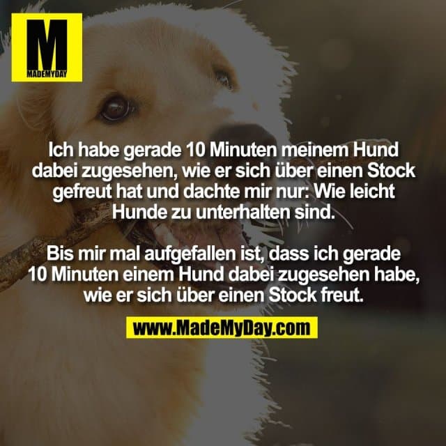 Ich habe gerade 10 Minuten meinem Hund
dabei zugesehen, wie er sich über einen Stock
gefreut hat und dachte mir nur: Wie leicht
Hunde zu unterhalten sind.
Bis mir mal aufgefallen ist, dass ich gerade
10 Minuten einem Hund dabei zugesehen habe,
wie er sich über einen Stock freut. - Inspiration, Zitate & Sprüche | MadeMyDay | Jetzt entdecken & teilen Ich habe gerade 10 Minuten meinem Hund
dabei zugesehen, wie er sich über einen Stock
gefreut hat und dachte mir nur: Wie leicht
Hunde zu unterhalten sind.
Bis mir mal aufgefallen ist, dass ich gerade
10 Minuten einem Hund dabei zugesehen habe,
wie er sich über einen Stock freut. - Inspirierendes Zitat mit Bild
